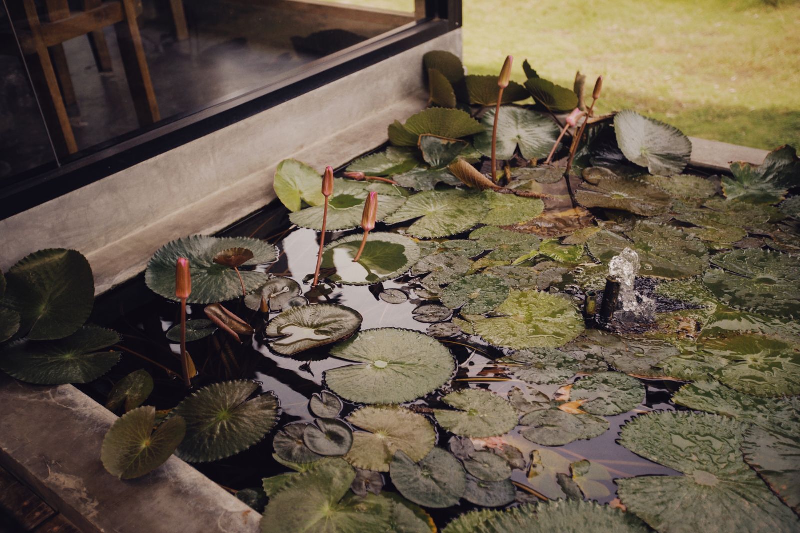 Pool- und Teichbau