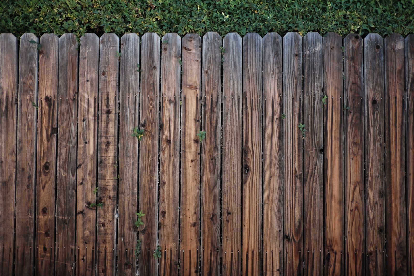 Zaun- und Natursteinarbeiten